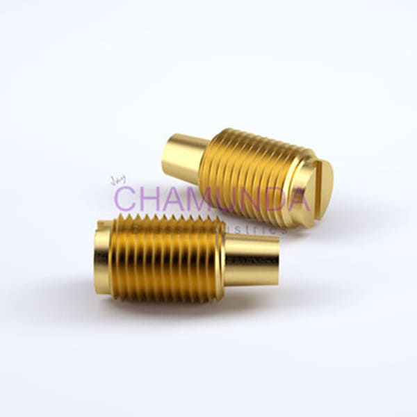 Brass Sealing Screw 19